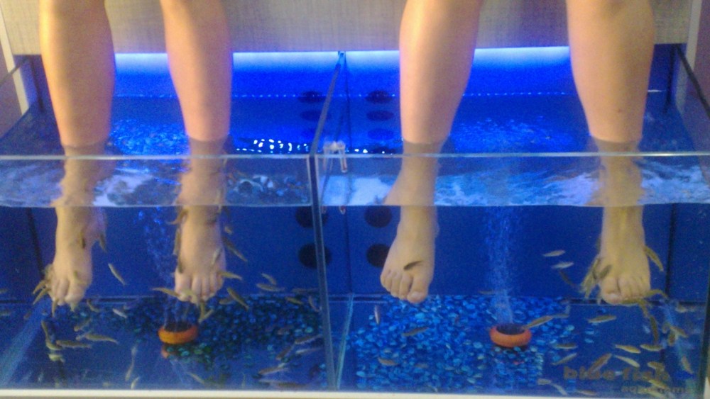 Fiskespa i Rethymnon. Anbefales, både for å få deilige føtter - og for å få trimmet lattermusklene. Det var hysterisk morsomt!