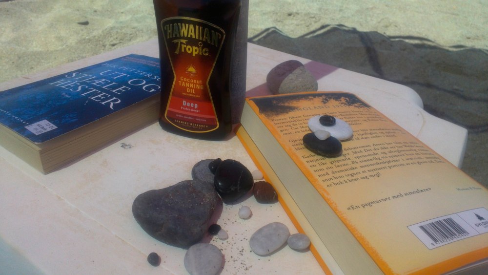 Sololje, stein fra stranda og ei god bok - det er strandlykke :-)