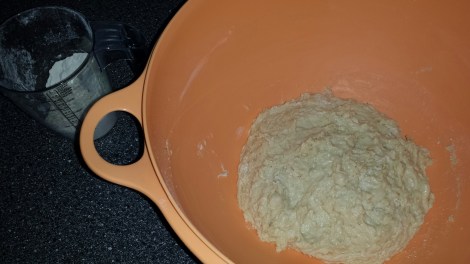 Rør inn hornsalt og litt og litt mel, det er ikke sikkert du trenger bruke alt melet i deigen. Sett deigen kjølig en times tid før du begynner å bake ut. 