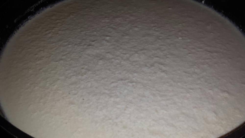 Når man har i kulturmelka brester melka, det ser man ved at det blir klumper i melka.