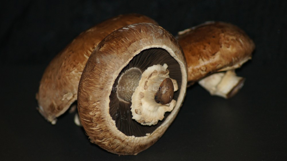 Portabella er en smakfull og kjempesunn sopp.