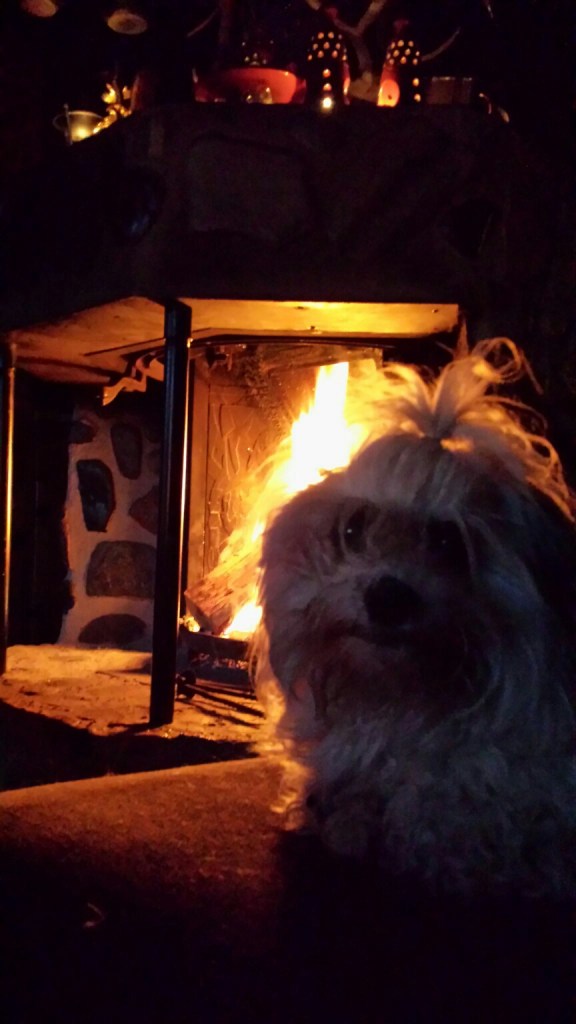 Oscar koser seg foran peisen en sen kveldstime.