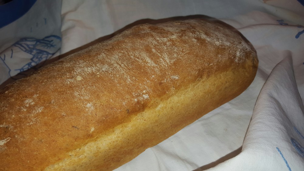 20151218_222501_resized